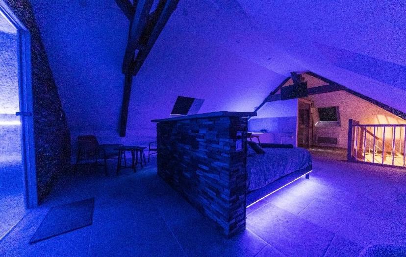 L'Evasion-Spa-Hammam-Sauna Illimite - 2 A 4 Pers 卢瓦尔河畔圣西 外观 照片
